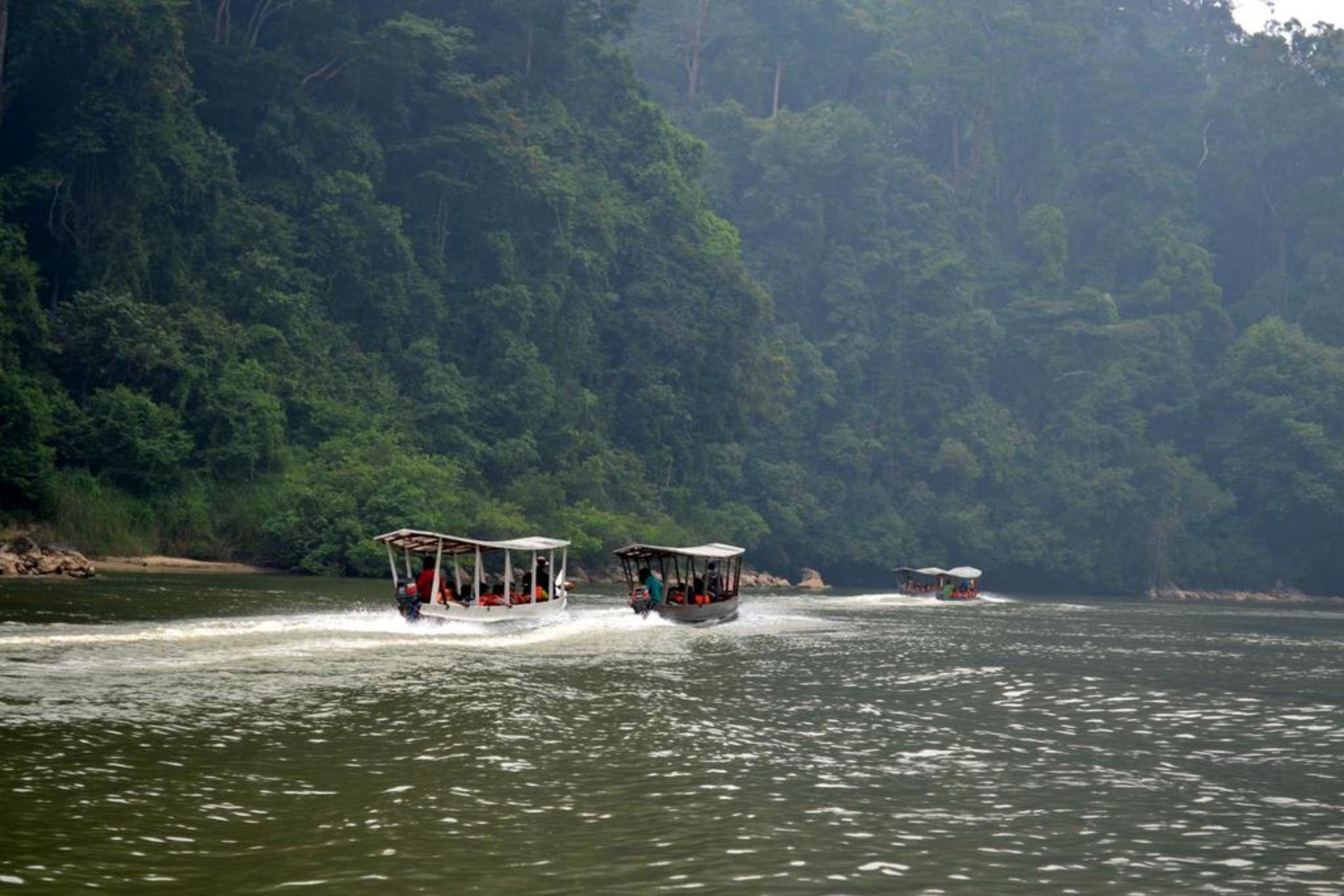 Mutiara Taman Negara Hotel Kuala Tahan Buitenkant foto