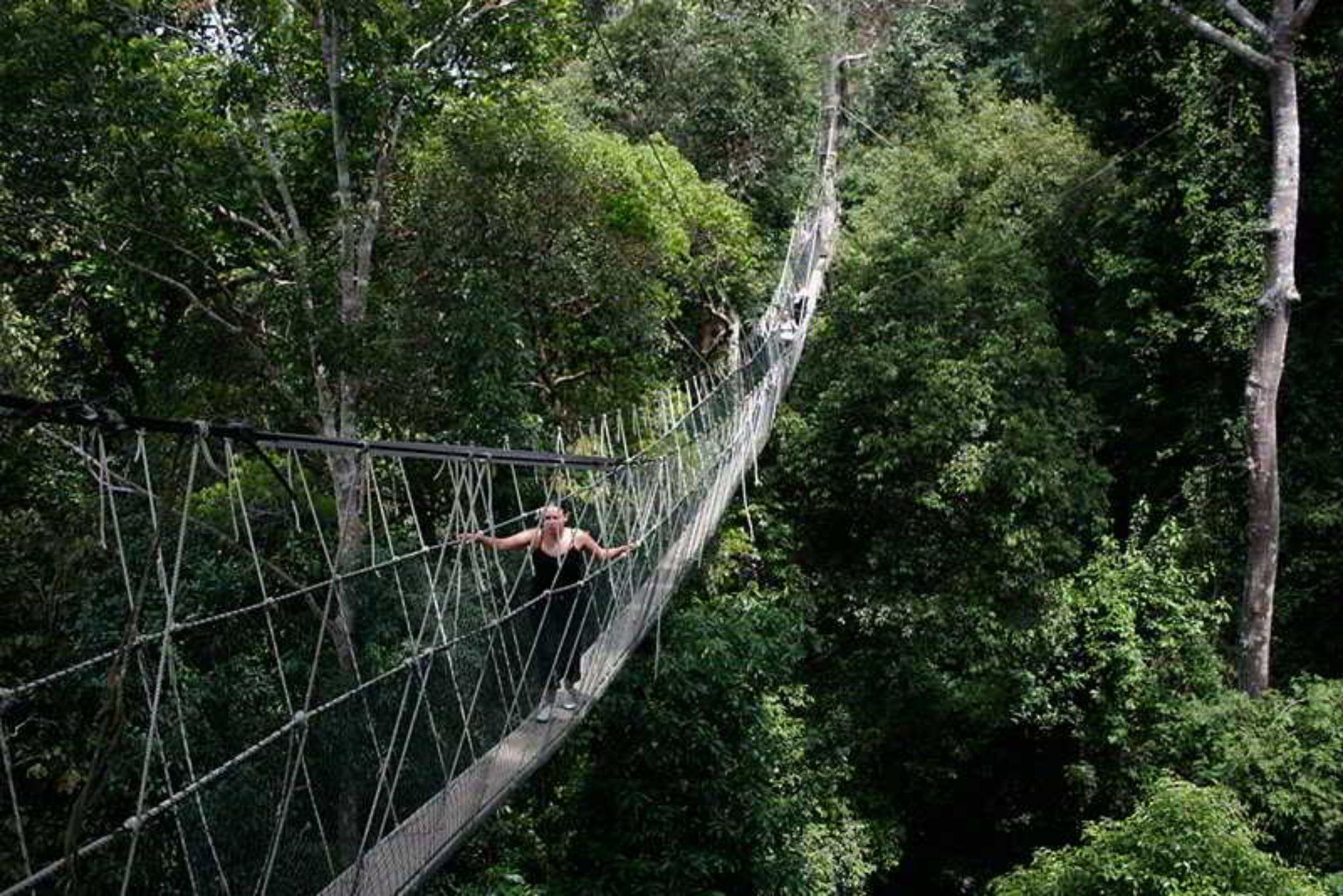 Mutiara Taman Negara Hotel Kuala Tahan Buitenkant foto