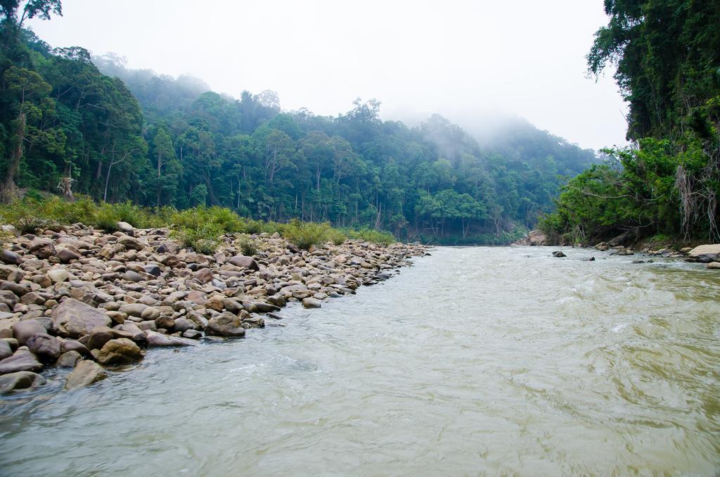 Mutiara Taman Negara Hotel Kuala Tahan Buitenkant foto