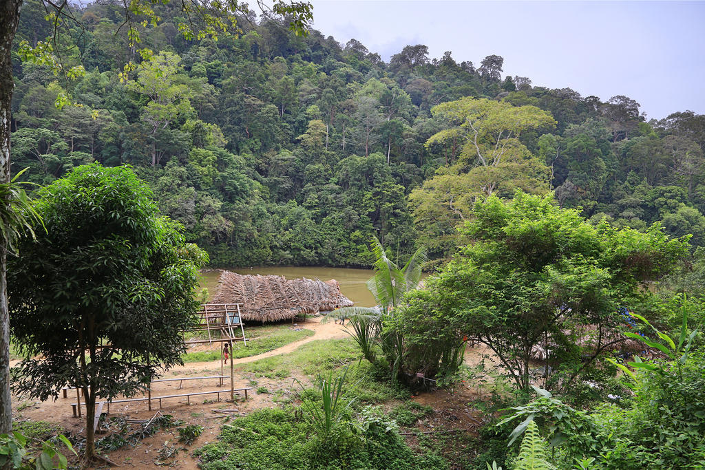 Mutiara Taman Negara Hotel Kuala Tahan Buitenkant foto