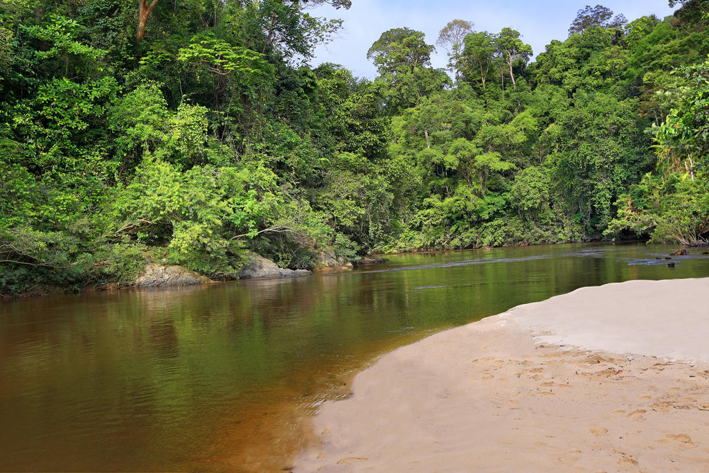 Mutiara Taman Negara Hotel Kuala Tahan Buitenkant foto