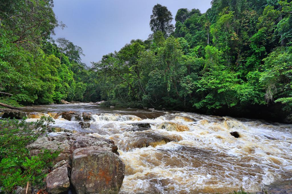 Mutiara Taman Negara Hotel Kuala Tahan Buitenkant foto